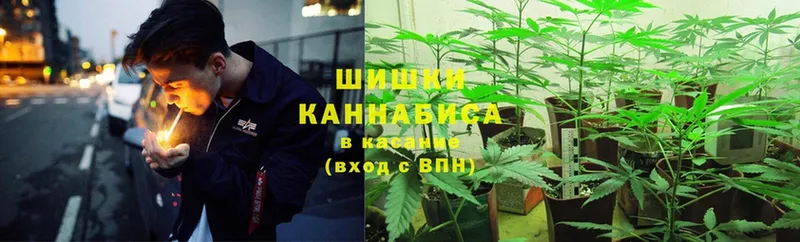 Конопля White Widow  даркнет сайт  Невинномысск 